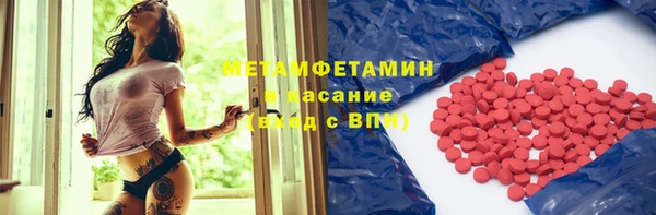 прущие грибы Горняк