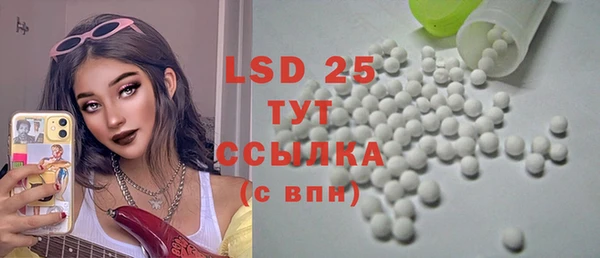 прущие грибы Горняк