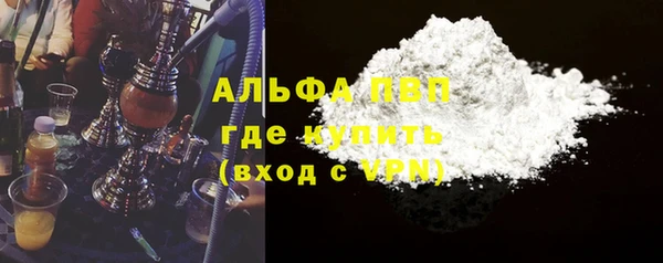 прущие грибы Горняк
