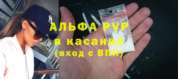 прущие грибы Горняк