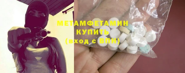 прущие грибы Горняк