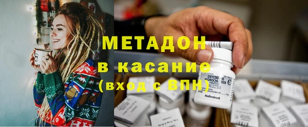 прущие грибы Горняк
