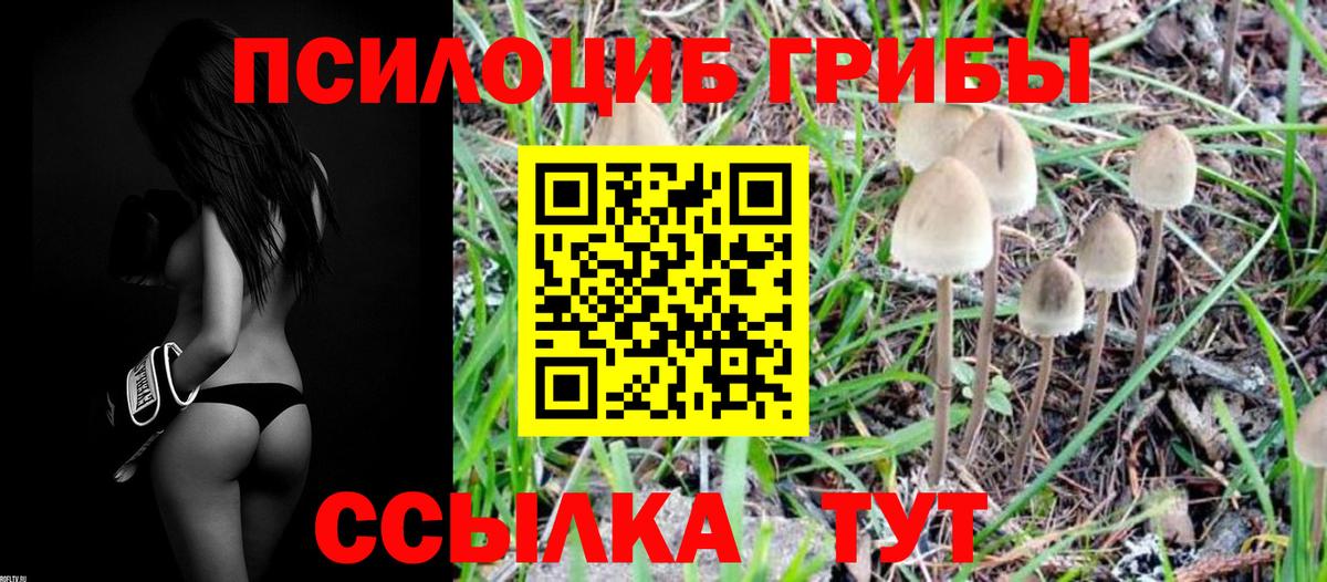 Еманжелинск  Псилоцибиновые грибы GOLDEN TEACHER  Вход с VPN 